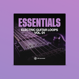 Electric Guitar Loops Vol. 01
